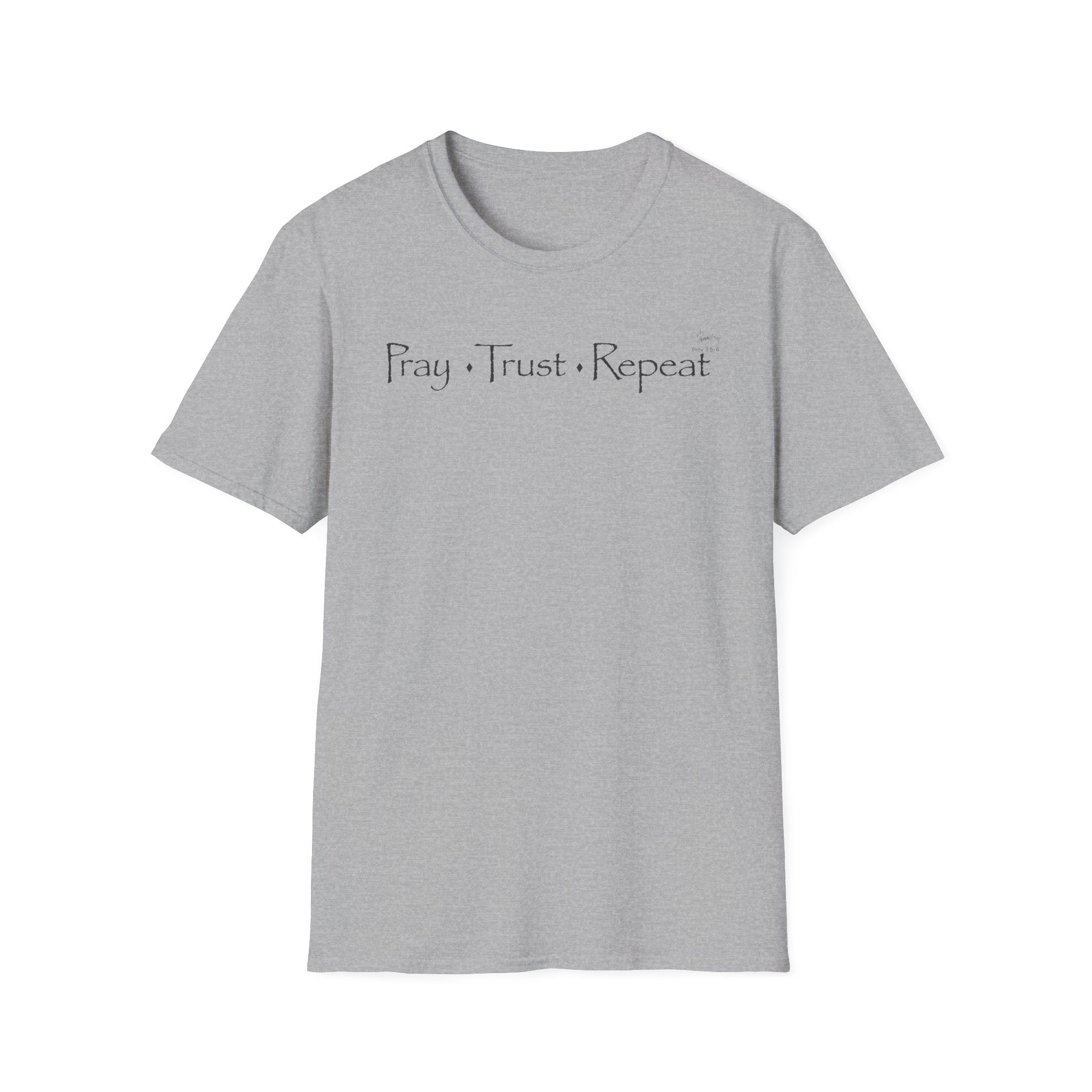 Pray Trust Repeat Distressed text- T-Shirt