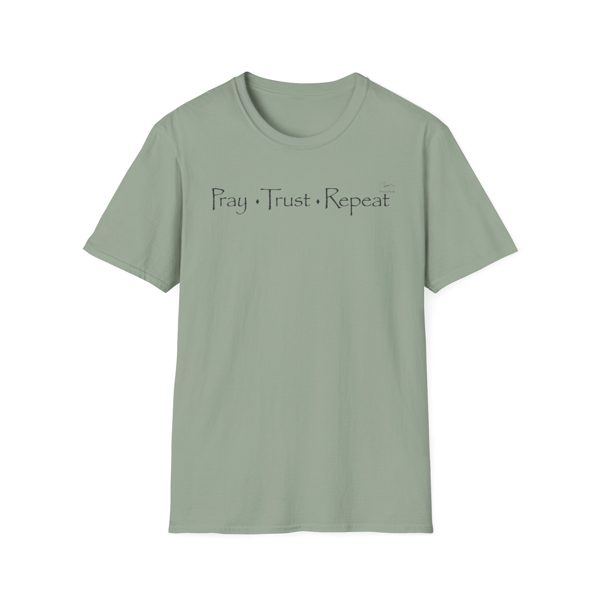 Pray Trust Repeat Distressed text- T-Shirt