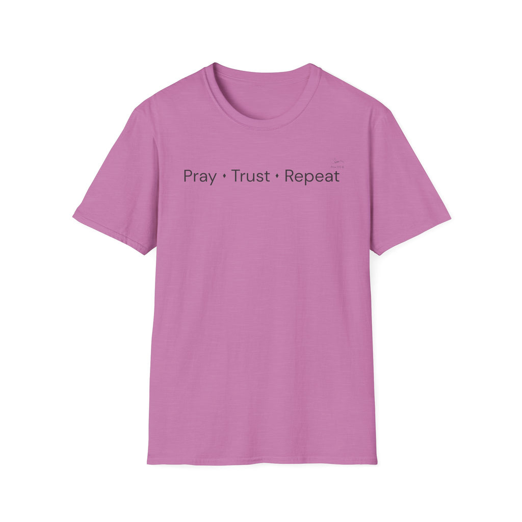 Pray Trust Repeat - T-Shirt