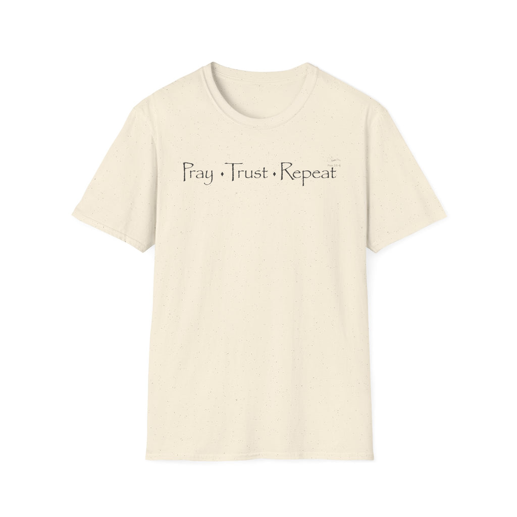 Pray Trust Repeat Distressed text- T-Shirt